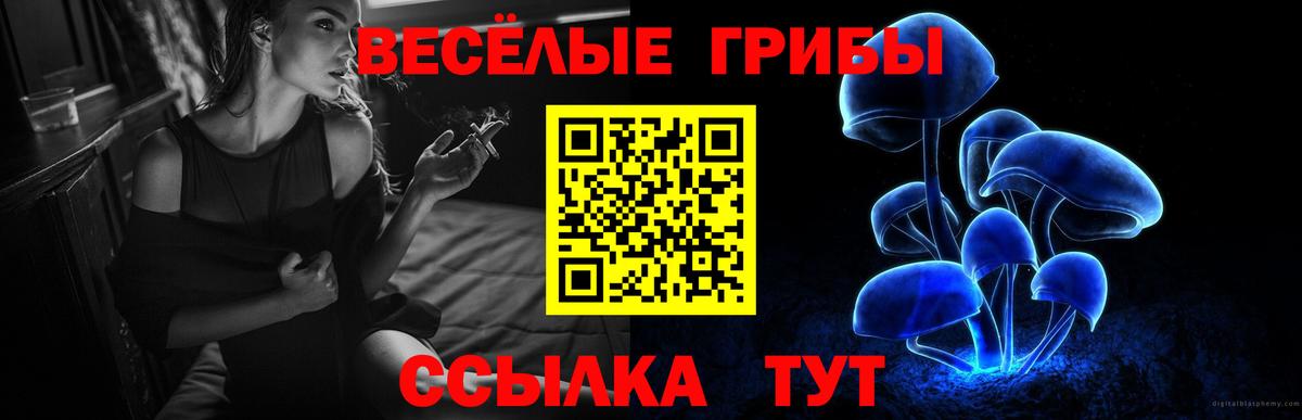 Аксай  Галлюциногенные грибы MAGIC MUSHROOMS  Псилоцибиновые грибы мицелий  купить наркотики цена  Вход с VPN 